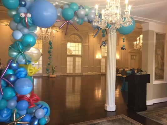 party decoration