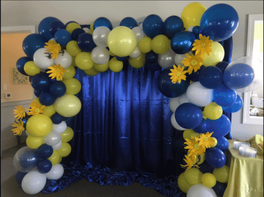 BALLOON DELIVERY RALEIGH NC