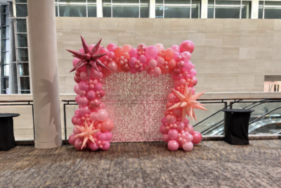 Pink Shimmer Wall w Balloon Garland