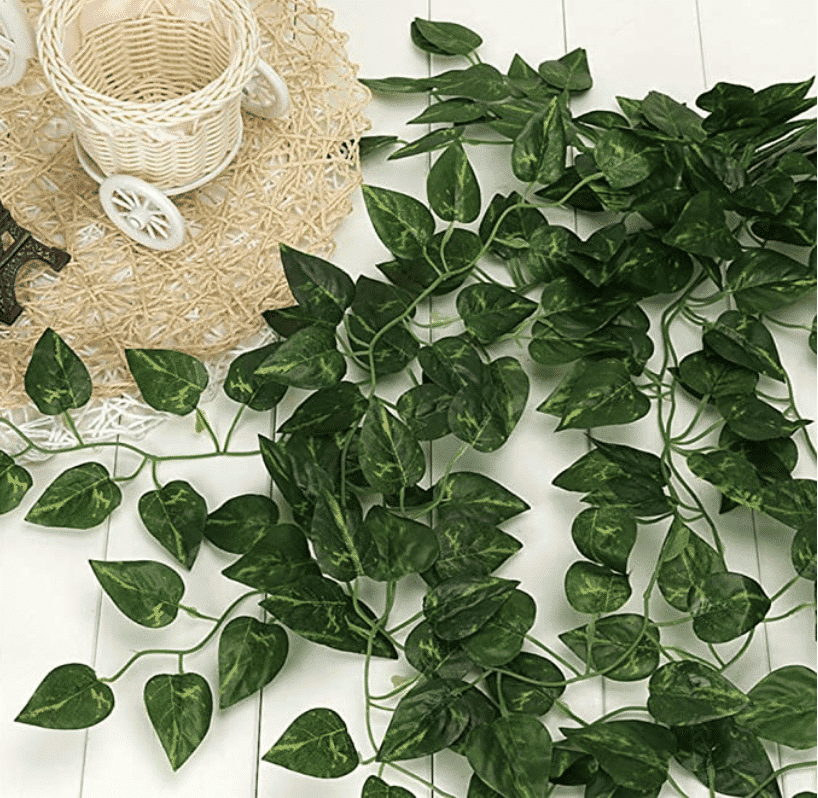 Greenery for Balloon Garland