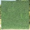 Green Artificial Hedge wall Backdrop