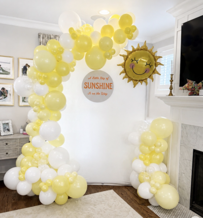 Fun In the Sun Balloon Backdrop