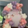 Butterfly Themed Chiara wall backdrop with balloon garland