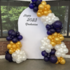 Chiara wall balloon backdrop in Raleigh NC